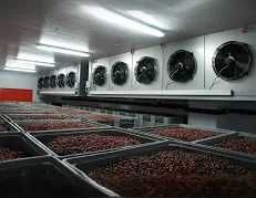 Рефрижератор холодильник контейнер -установка за 1 день