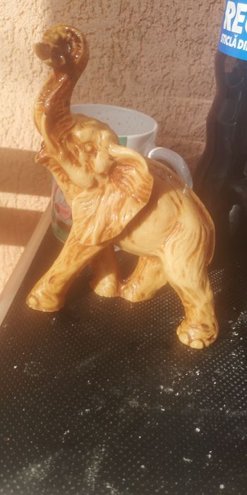 Elefanți răsina, frumoși