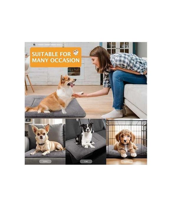 Covoras reversibil pentru caini 75x50 cm, PET SPPTIES