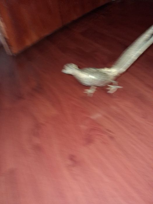 Позлатена Бронзова отливка на паун.