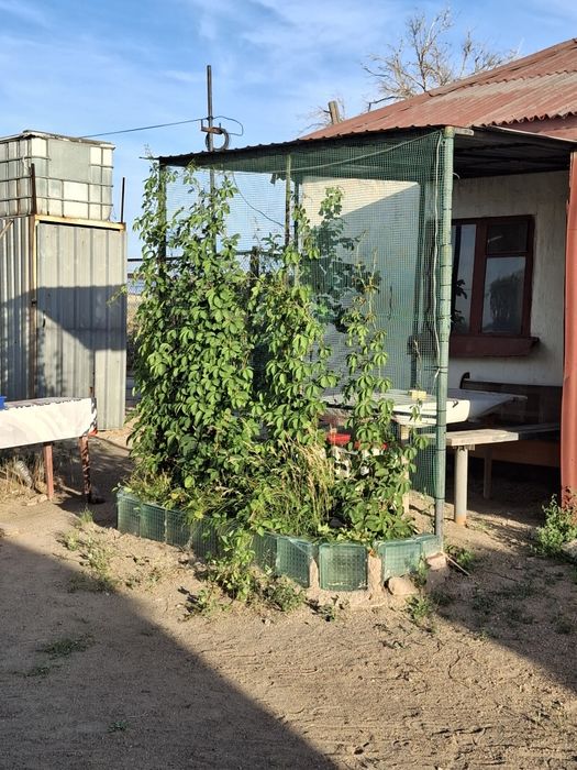 Сдается дача домик