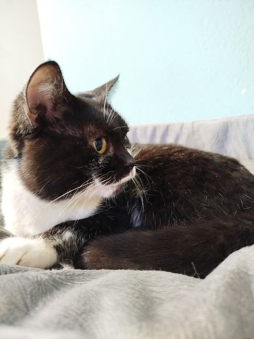 Чудесный Гарри ищет дом