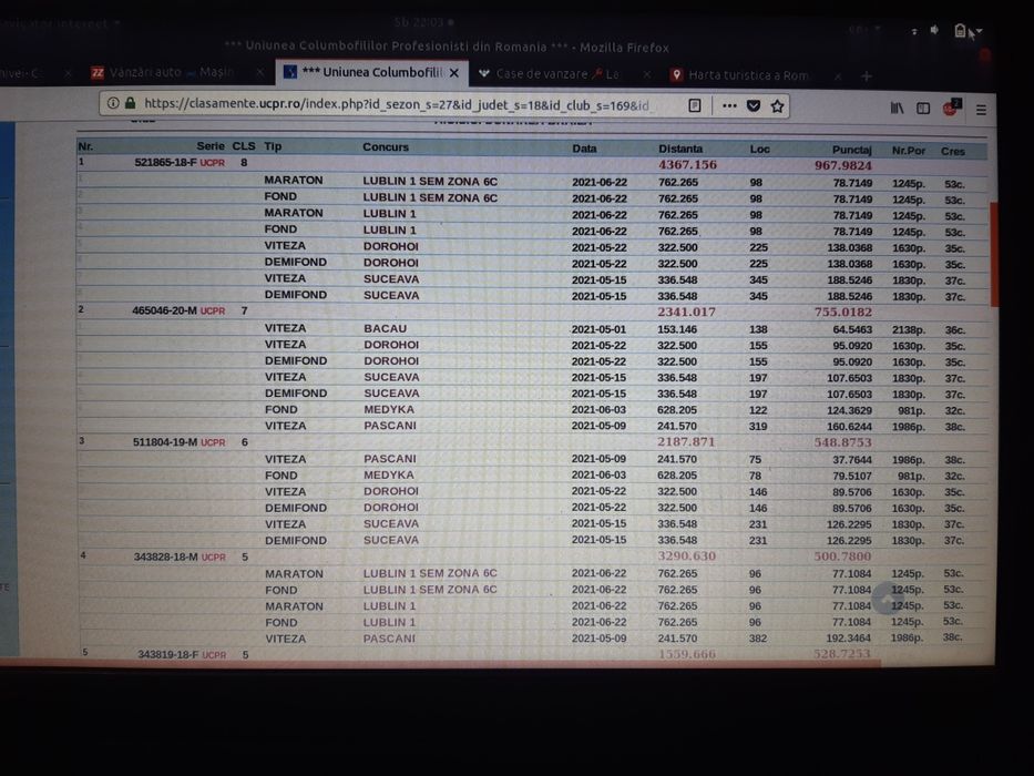 Vând porumbei voiajori