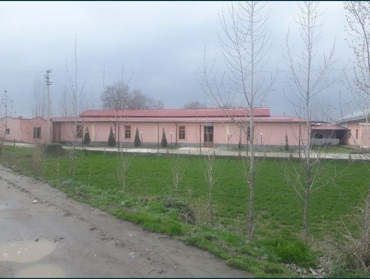 Tadbirkorlik yoki boshqa maqsadlarda