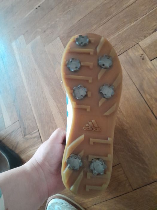 Маратонки с котки adidas