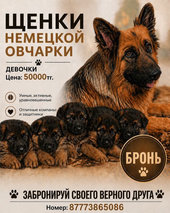 Немецкая овчарка, щенки.