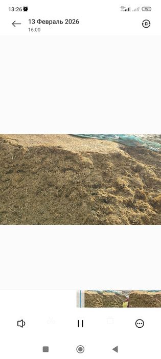 Синаж сотилади оптимга 15000