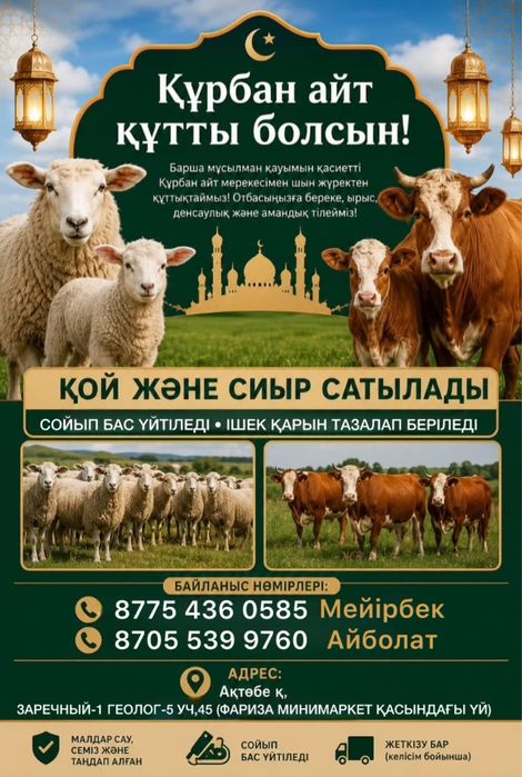 Қой сиыр сатылады