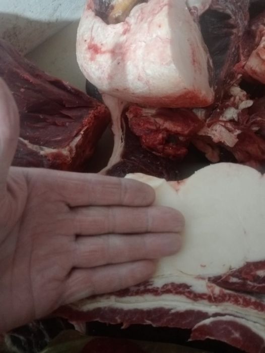 Конина. Мясо. Ет.