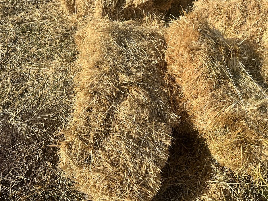 пресс шоп жаксы