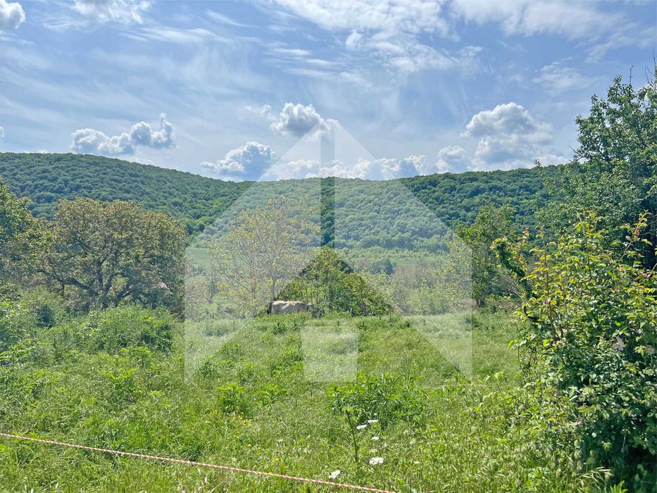 Продава се Парцел в с. Лиси връх, Област Шумен - 4420 кв.м за 3 €/кв.м - Снимка #2