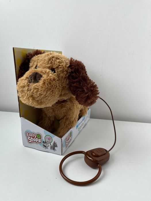 Catel de plus cu lesa