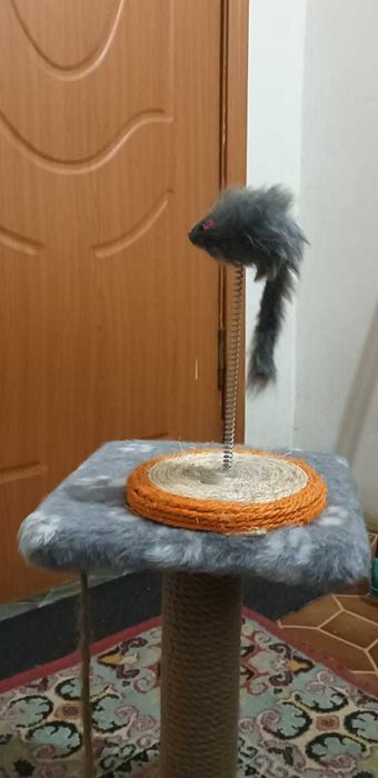 Кошачий гаджет для когтей