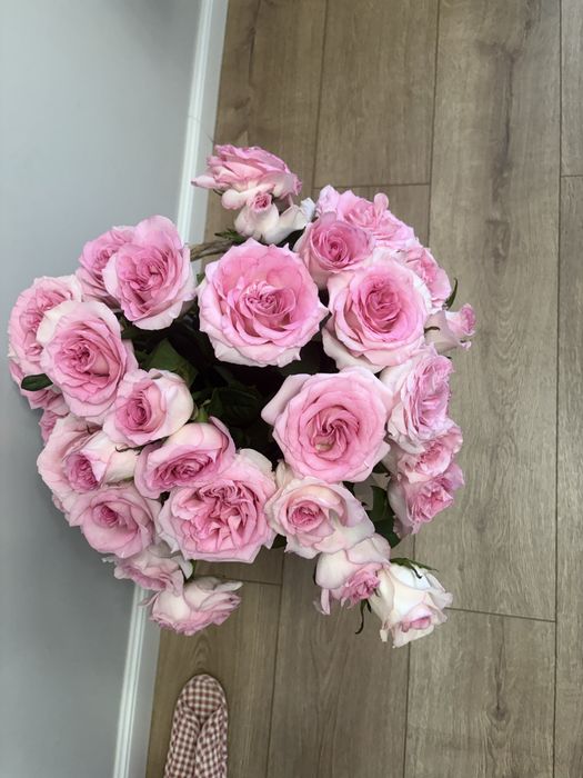 Продам цветы свежие