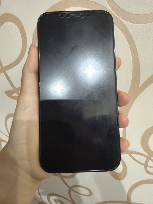 Iphone 12 Pro Max