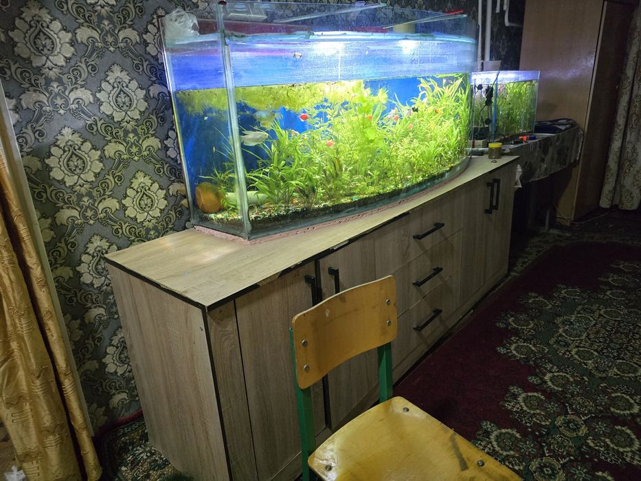 Аквариум сотилади