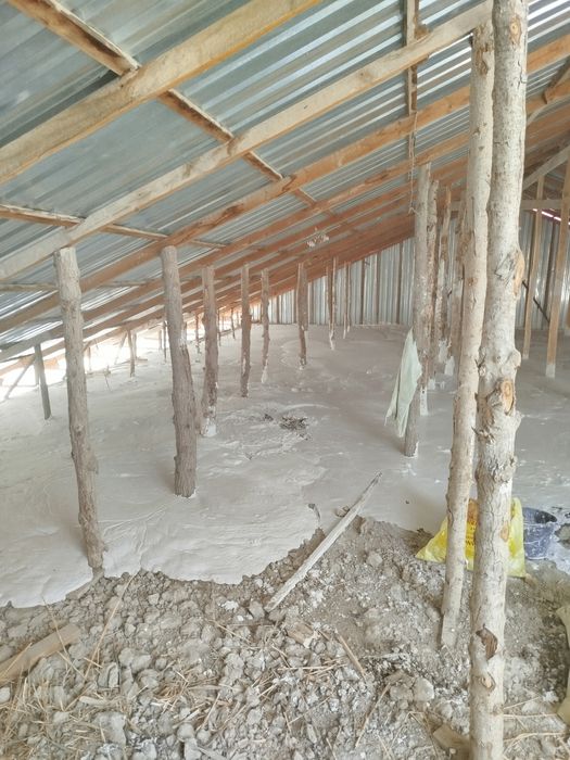 Penalomboz,tombosti ,lomboz ломбоз, томшувок томбости, pena