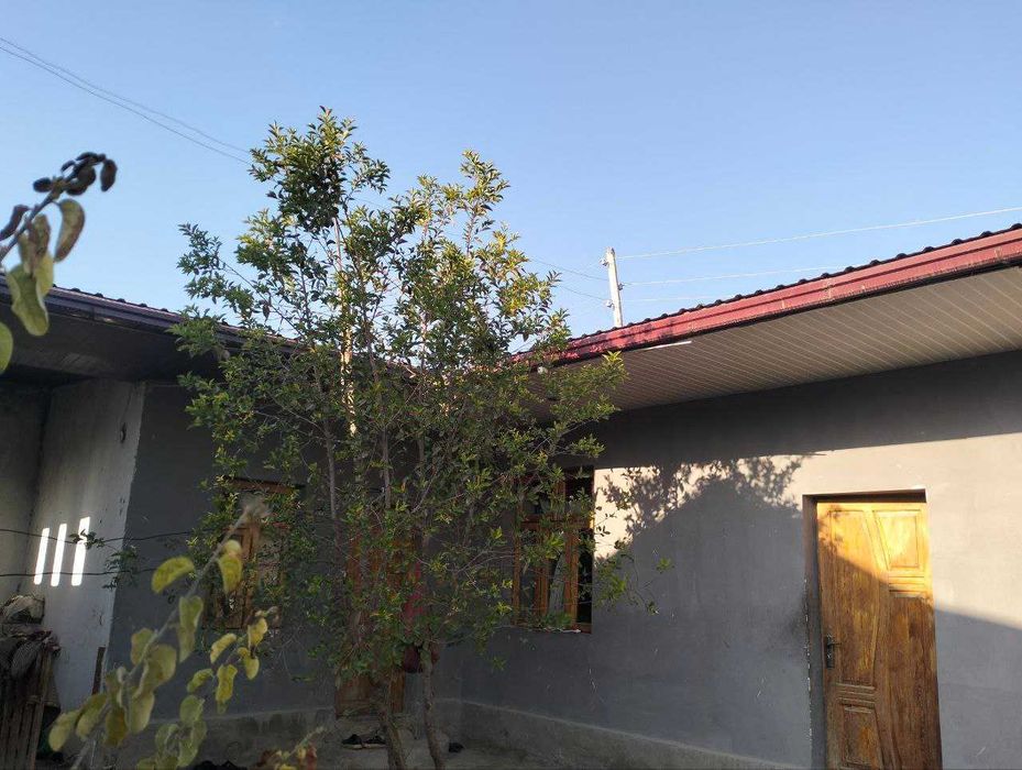 Uy Sotiladi!

 Manzil: Yangiyo‘l tumani, sport litseyi yaqinida.