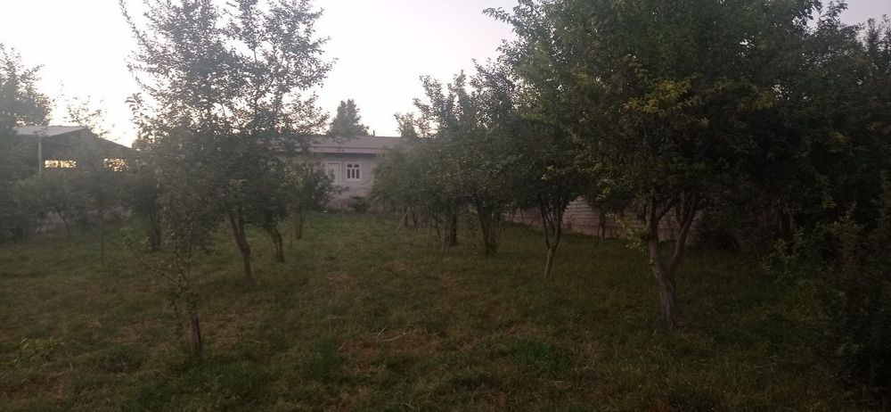 Uy va ferma sotiladi