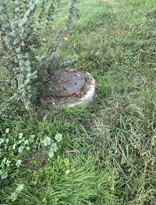 Teren De Vanzare Branesti-Pasarea, cu deschidere la lac