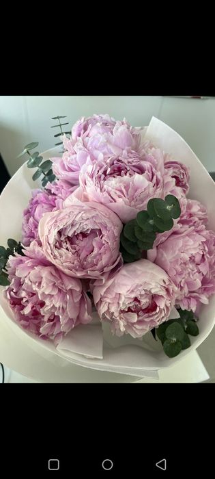 Пионы свежие 9шт