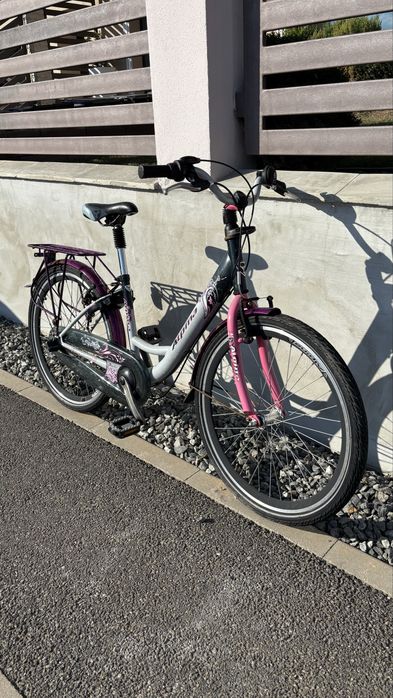 Bicicleta alpina