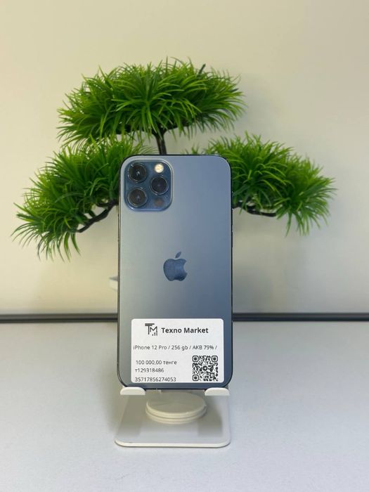 iPhone 12 Pro / 256gb  Akb:79%