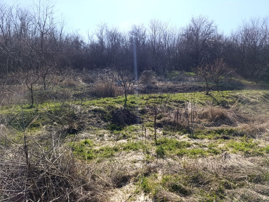 Продава се Парцел в с. Айдемир, Област Силистра - 2067 кв.м за 2 €/кв.м - Снимка #2