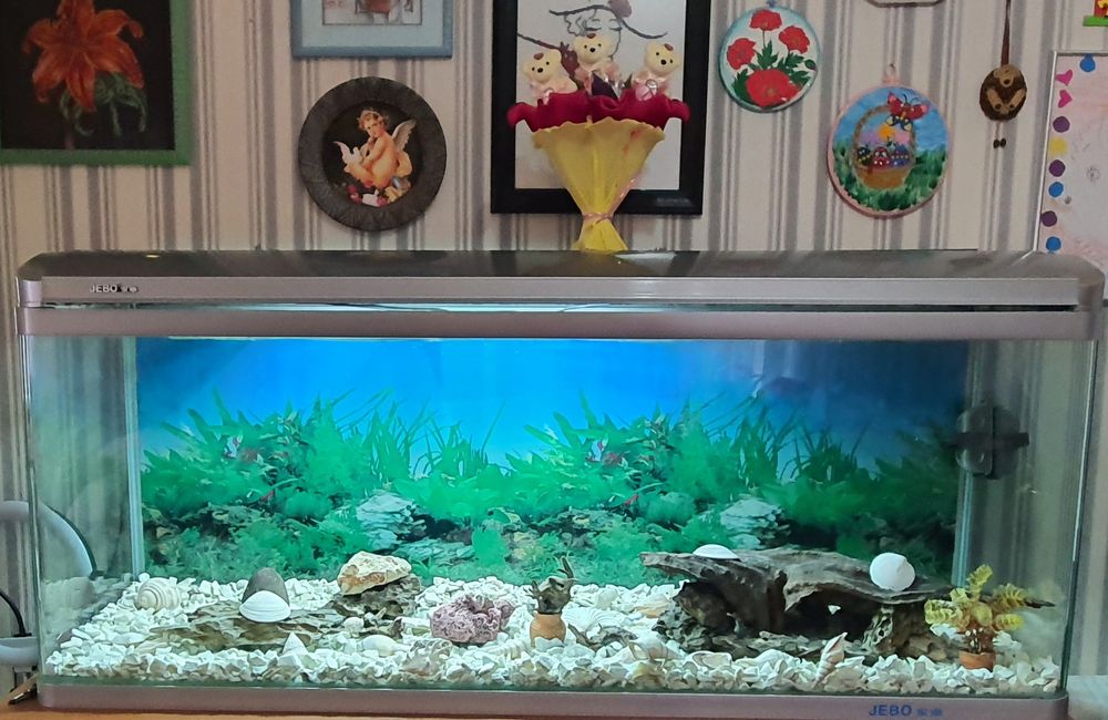 Аквариум с тумбой и фильтром