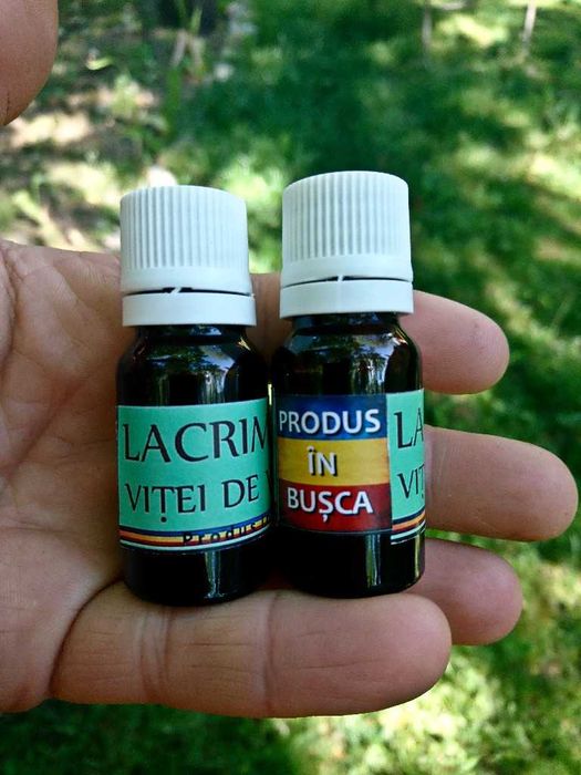 Lacrima vitei-de-vie / Seva vitei-de-vie