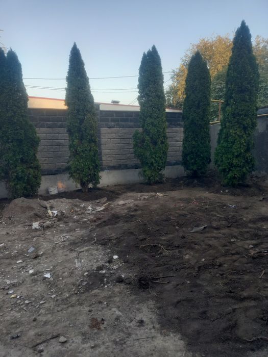 Посадка, пересадка растений.