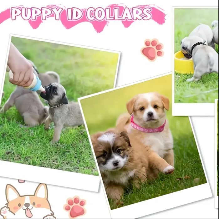 Повод със каишка със звънче за малки кученца