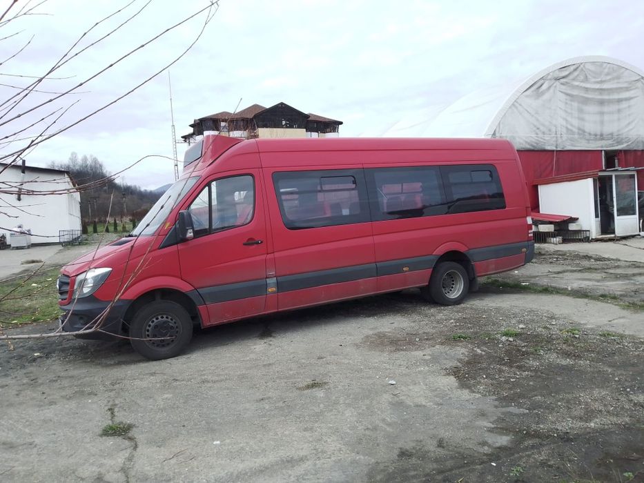 Vand microbuze si autobuze