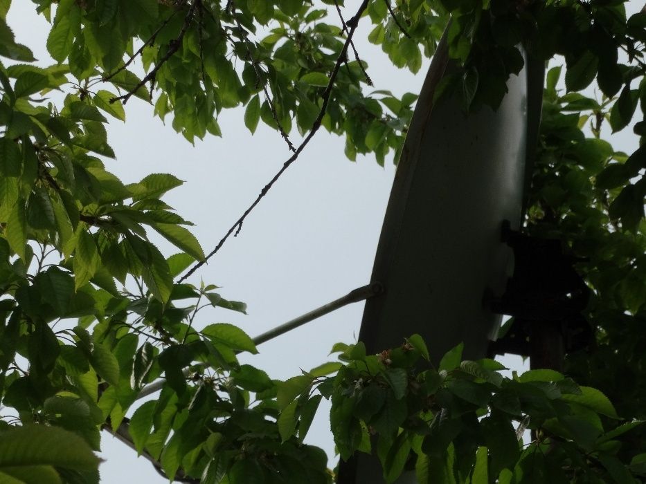 Две спутниковые тарелки, 4 головки