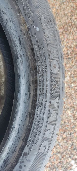 Продам шины от BVD seagull, 175/55 r16.