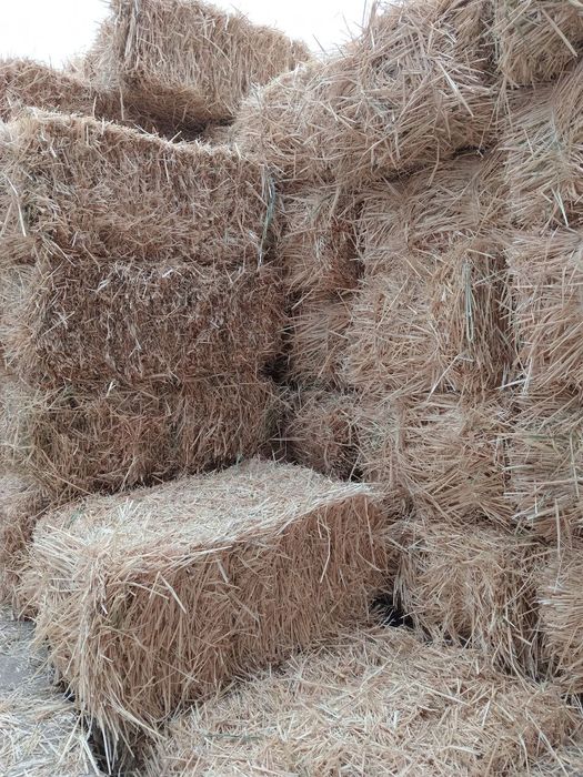 Самон пресс сотилади