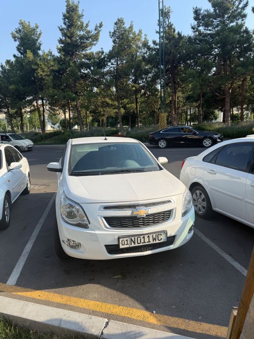 cobalt ltz 2024 dekabr