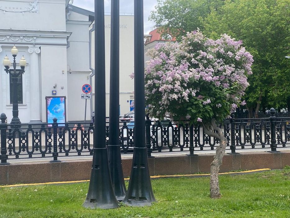 2-комн. квартира, 66 м², Шайхантахурский район