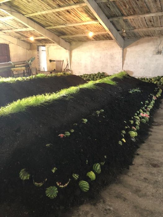 Биогумус удобрение тынайткыш новоз