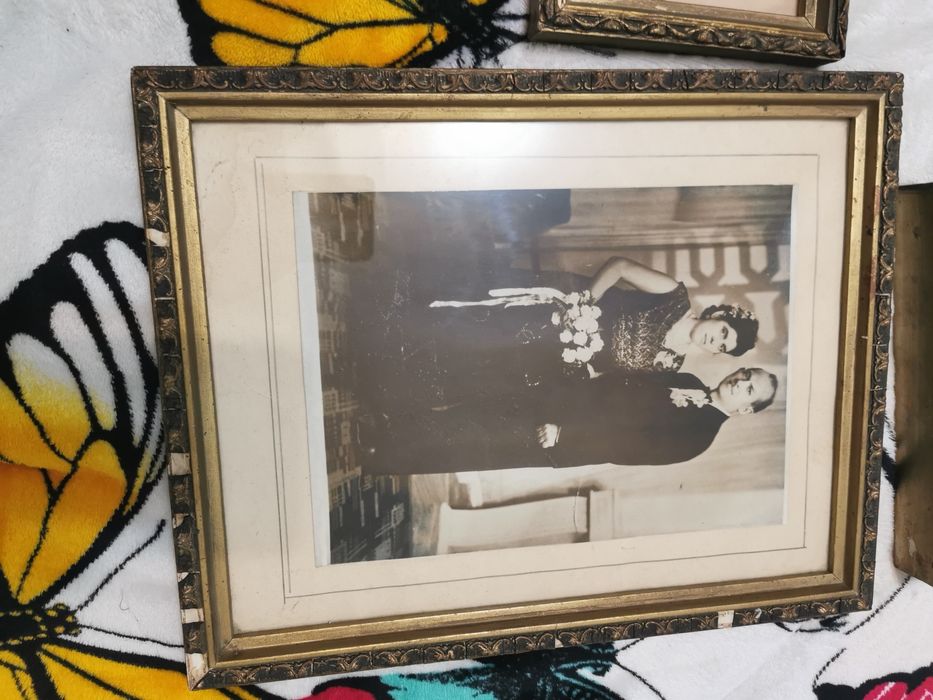 Rame vechi protejate cu geam