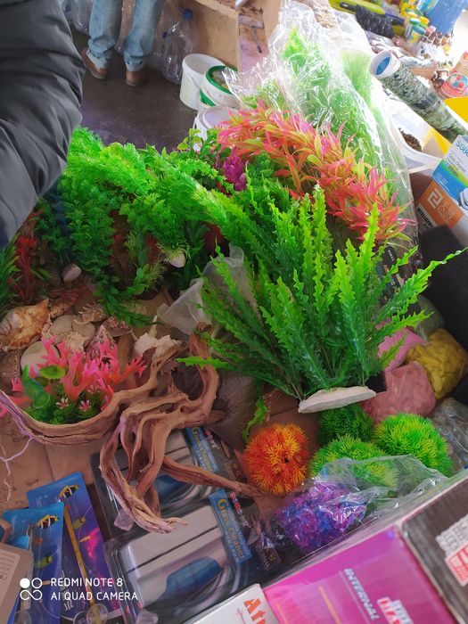 Чистка аквариума. Обслуживание, оформление аквариума.