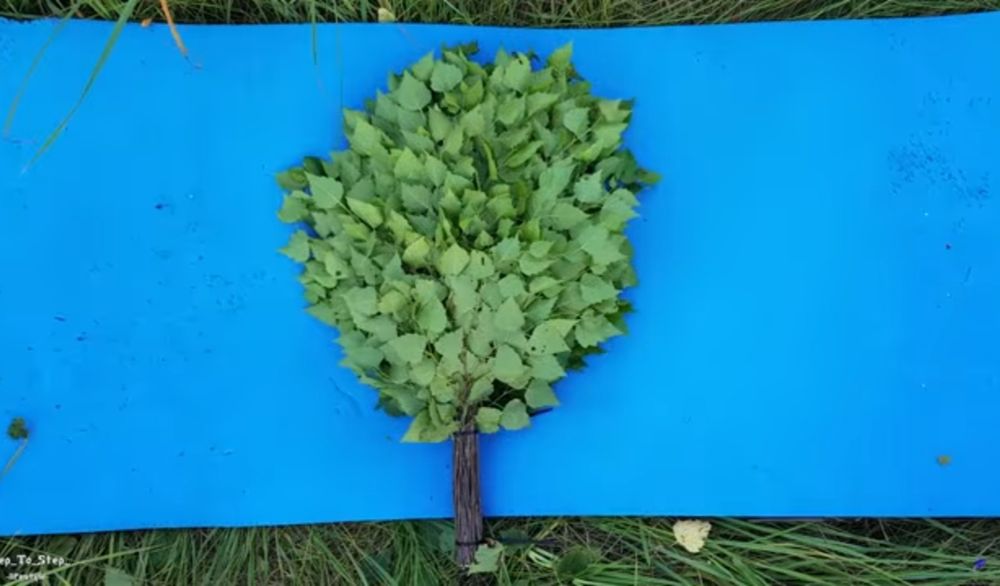 Веники, жапырак 600тг розницу/оптом