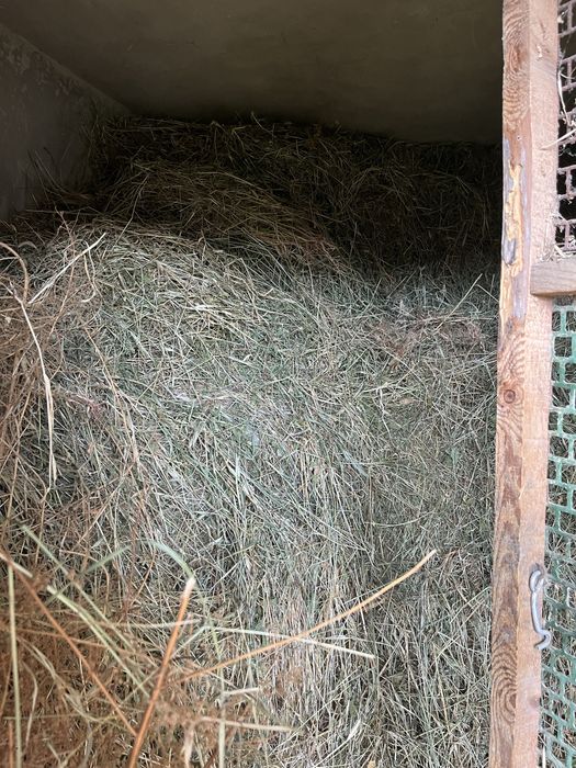 Продам сено для скота