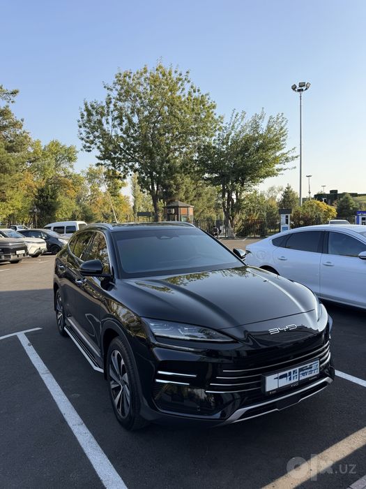 BYD Chempion Hev 150 km lik sotiladi