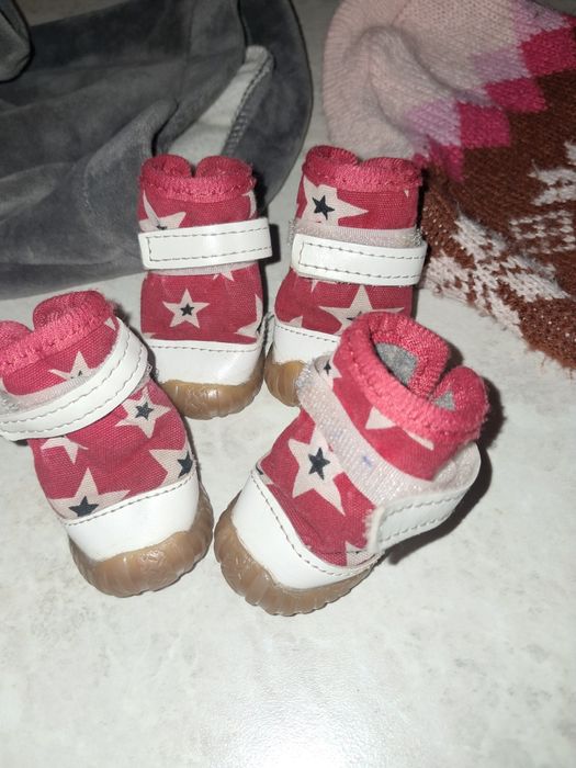 Одежда для собак бу