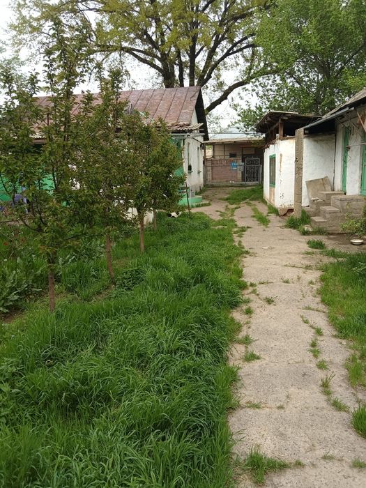 Жилой дом в городе Сарыагаш