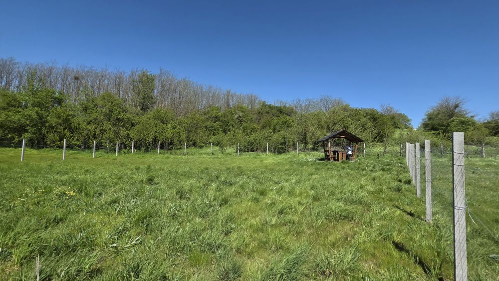 Micul tău paradis privat, 577 mp, aproape de București, pentru grădină și reședință