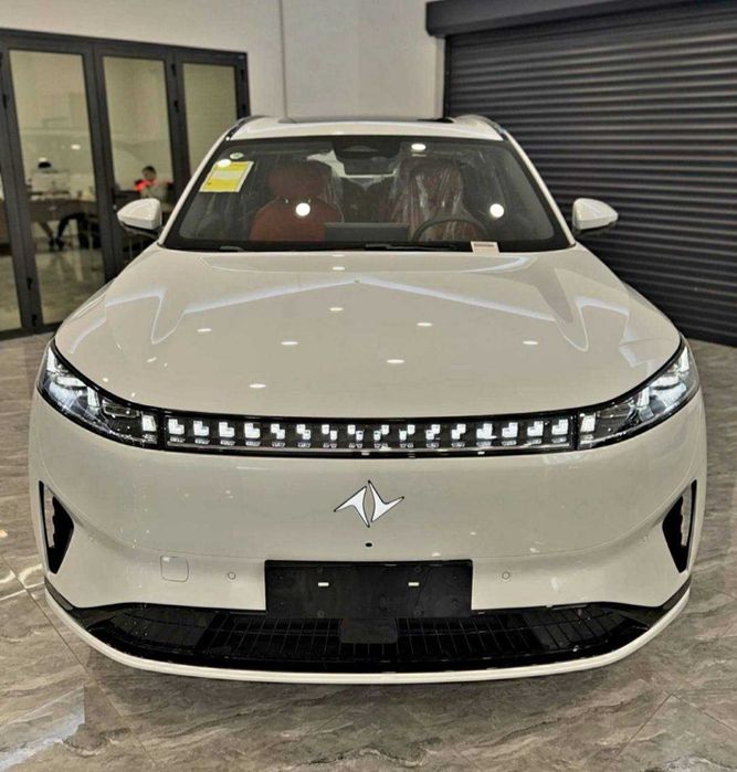 Dongfeng 008 max 2025