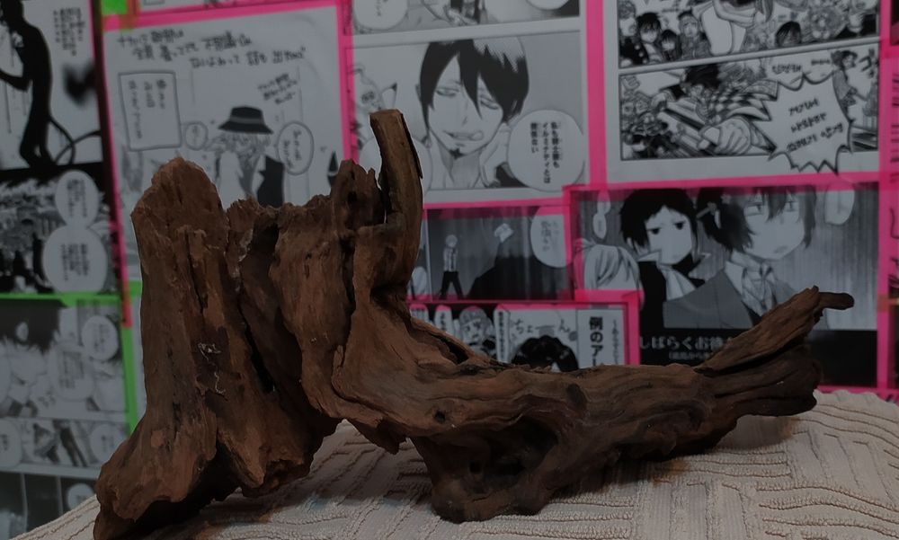 Террариум для пауков.