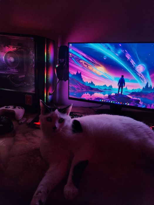 PC Gaming RTX 4060, Ryzen 5 5600 cu Monitor Alienware 360hz